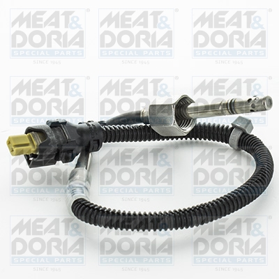 Sensor uitlaatgastemperatuur Meat Doria 12425