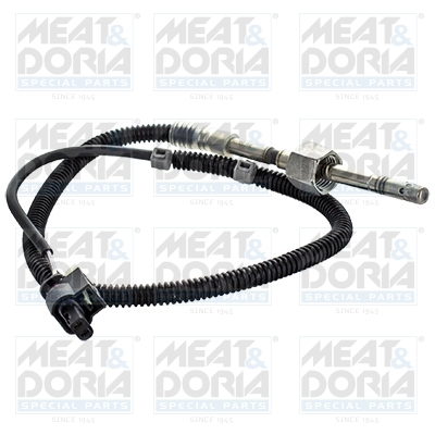 Sensor uitlaatgastemperatuur Meat Doria 12426