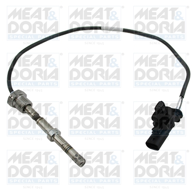 Sensor uitlaatgastemperatuur Meat Doria 12436