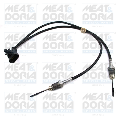 Sensor uitlaatgastemperatuur Meat Doria 12449