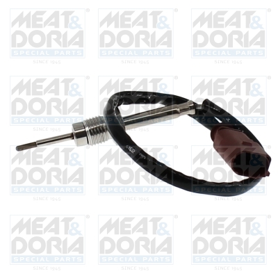 Sensor uitlaatgastemperatuur Meat Doria 12456