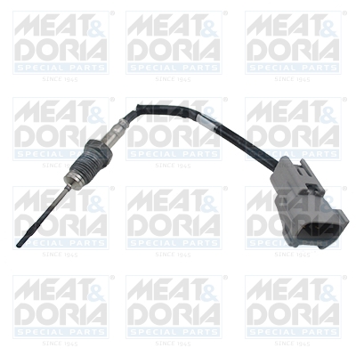 Sensor uitlaatgastemperatuur Meat Doria 12457