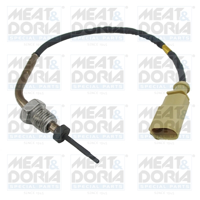 Sensor uitlaatgastemperatuur Meat Doria 12465