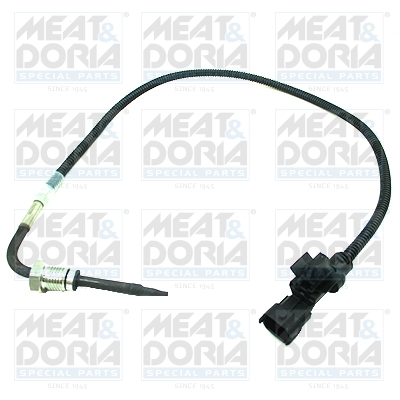 Sensor uitlaatgastemperatuur Meat Doria 12470