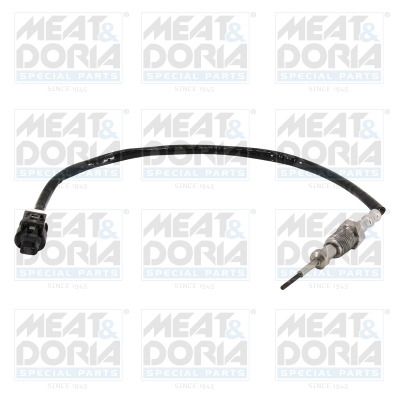 Sensor uitlaatgastemperatuur Meat Doria 12476