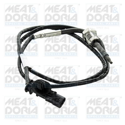 Sensor uitlaatgastemperatuur Meat Doria 12482