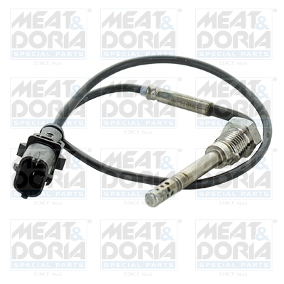 Sensor uitlaatgastemperatuur Meat Doria 12483