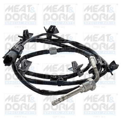 Sensor uitlaatgastemperatuur Meat Doria 12487