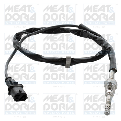 Sensor uitlaatgastemperatuur Meat Doria 12490