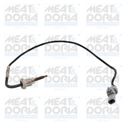 Sensor uitlaatgastemperatuur Meat Doria 12493