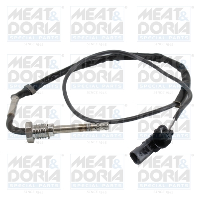 Sensor uitlaatgastemperatuur Meat Doria 12495