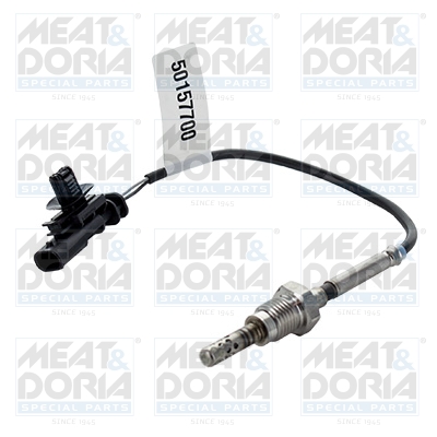 Sensor uitlaatgastemperatuur Meat Doria 12496