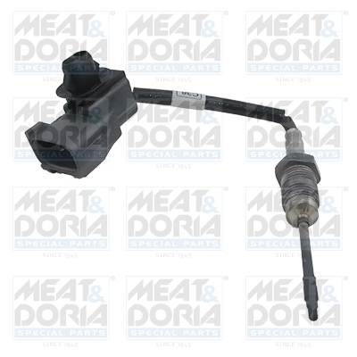 Sensor uitlaatgastemperatuur Meat Doria 12518