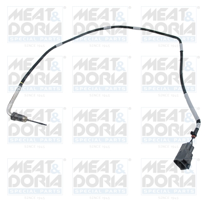 Sensor uitlaatgastemperatuur Meat Doria 12520