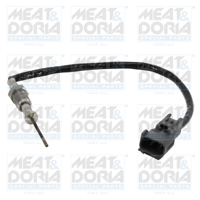 Sensor uitlaatgastemperatuur Meat Doria 12524