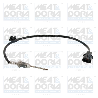 Sensor uitlaatgastemperatuur Meat Doria 12525