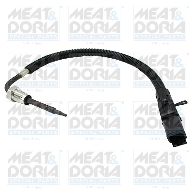 Sensor uitlaatgastemperatuur Meat Doria 12526