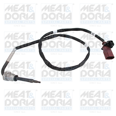 Sensor uitlaatgastemperatuur Meat Doria 12543