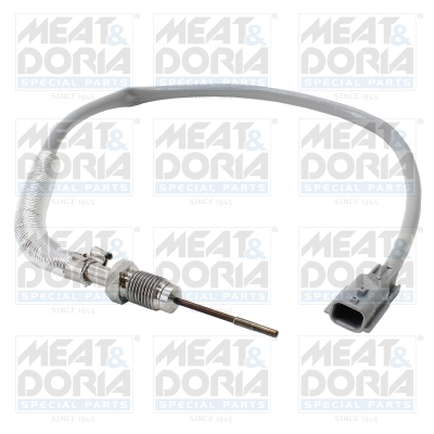 Sensor uitlaatgastemperatuur Meat Doria 12547