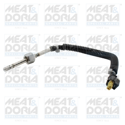 Sensor uitlaatgastemperatuur Meat Doria 12550