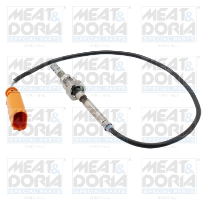 Sensor uitlaatgastemperatuur Meat Doria 12561