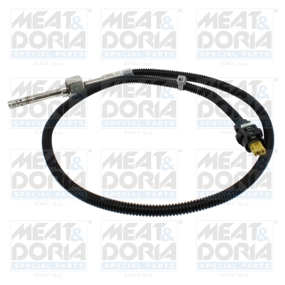 Sensor uitlaatgastemperatuur Meat Doria 12567