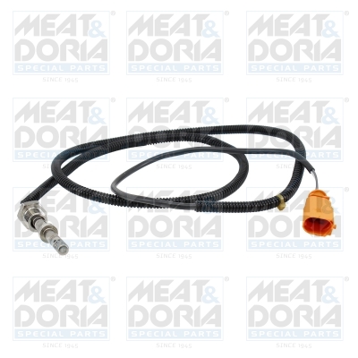 Sensor uitlaatgastemperatuur Meat Doria 12568