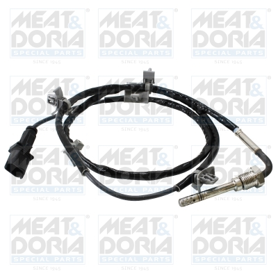 Sensor uitlaatgastemperatuur Meat Doria 12577