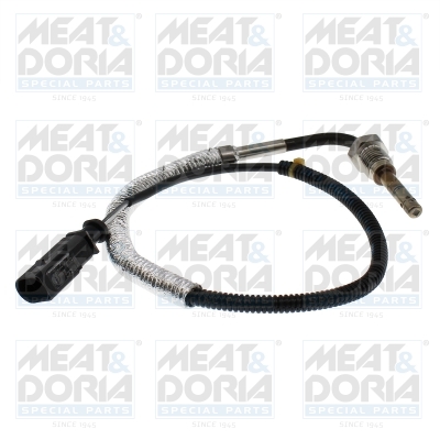 Sensor uitlaatgastemperatuur Meat Doria 12578