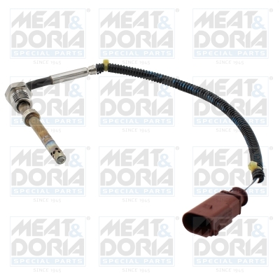 Sensor uitlaatgastemperatuur Meat Doria 12580