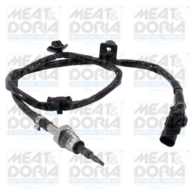 Sensor uitlaatgastemperatuur Meat Doria 12589