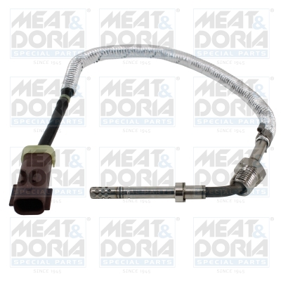 Sensor uitlaatgastemperatuur Meat Doria 12593