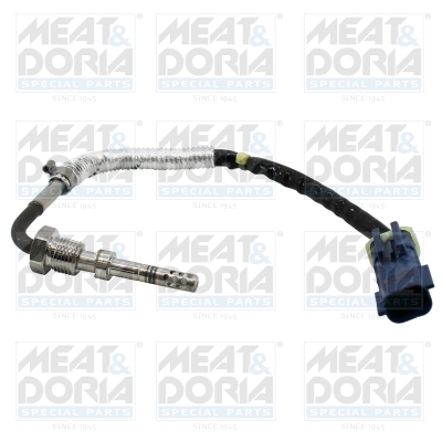 Sensor uitlaatgastemperatuur Meat Doria 12594