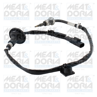 Sensor uitlaatgastemperatuur Meat Doria 12598