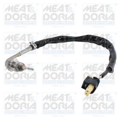 Sensor uitlaatgastemperatuur Meat Doria 12605