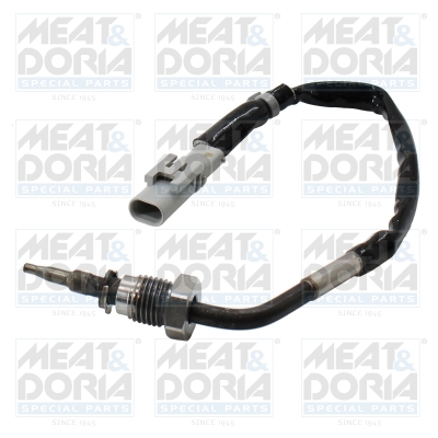 Sensor uitlaatgastemperatuur Meat Doria 12608