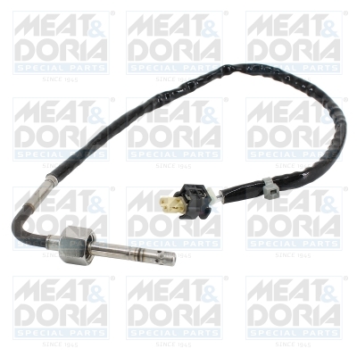 Sensor uitlaatgastemperatuur Meat Doria 12609