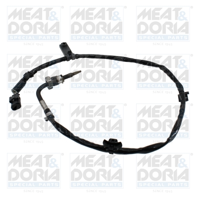 Sensor uitlaatgastemperatuur Meat Doria 12610