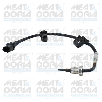 Sensor uitlaatgastemperatuur Meat Doria 12622