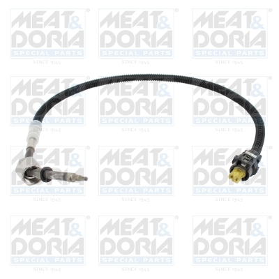 Sensor uitlaatgastemperatuur Meat Doria 12623