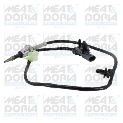 Sensor uitlaatgastemperatuur Meat Doria 12624