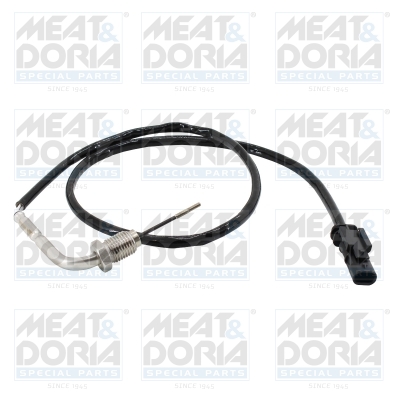 Sensor uitlaatgastemperatuur Meat Doria 12639