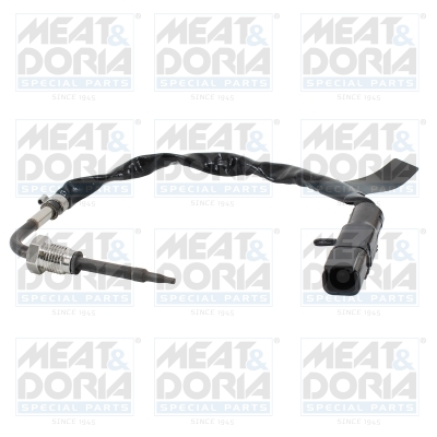 Sensor uitlaatgastemperatuur Meat Doria 12649