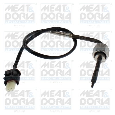 Sensor uitlaatgastemperatuur Meat Doria 12656