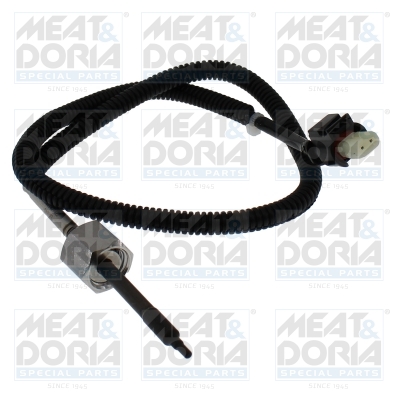 Sensor uitlaatgastemperatuur Meat Doria 12682