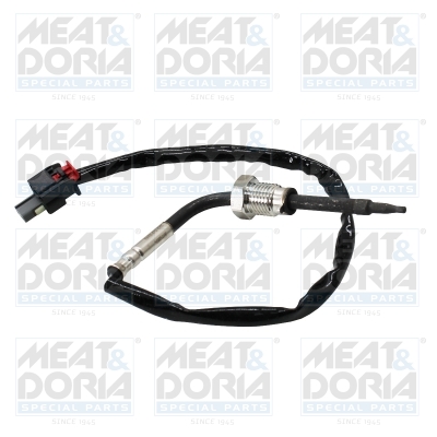 Sensor uitlaatgastemperatuur Meat Doria 12690