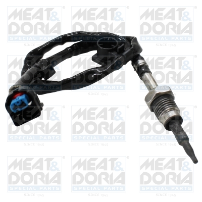 Sensor uitlaatgastemperatuur Meat Doria 12691