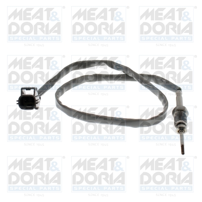 Sensor uitlaatgastemperatuur Meat Doria 12704