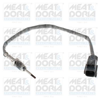 Sensor uitlaatgastemperatuur Meat Doria 12705