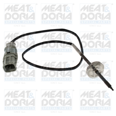 Sensor uitlaatgastemperatuur Meat Doria 12709